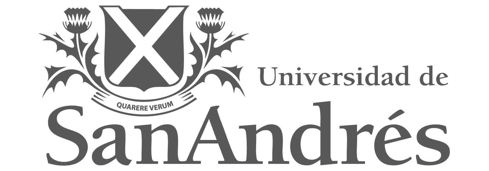 Universidad de San Andrés
