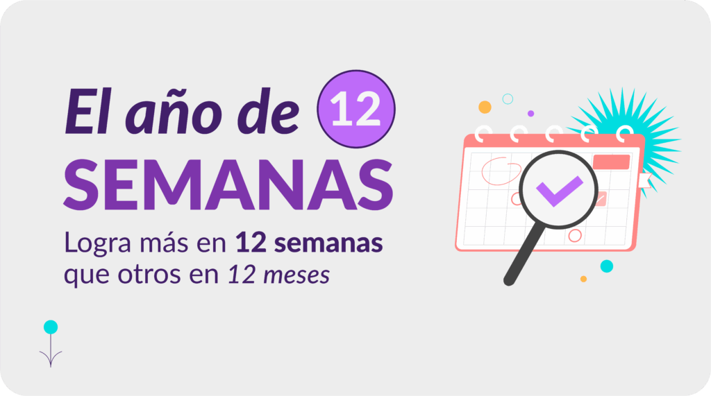 12 semanas